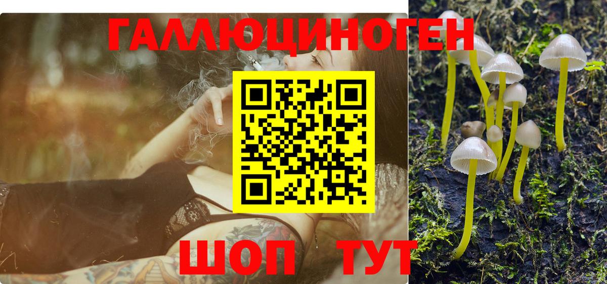Псилоцибиновые грибы мухоморы Красноярск