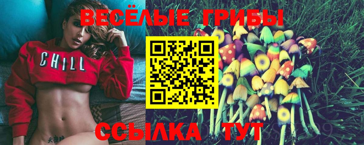 Галлюциногенные грибы ЛСД  Вход с VPN  Галлюциногенные грибы GOLDEN TEACHER  Красноярск 